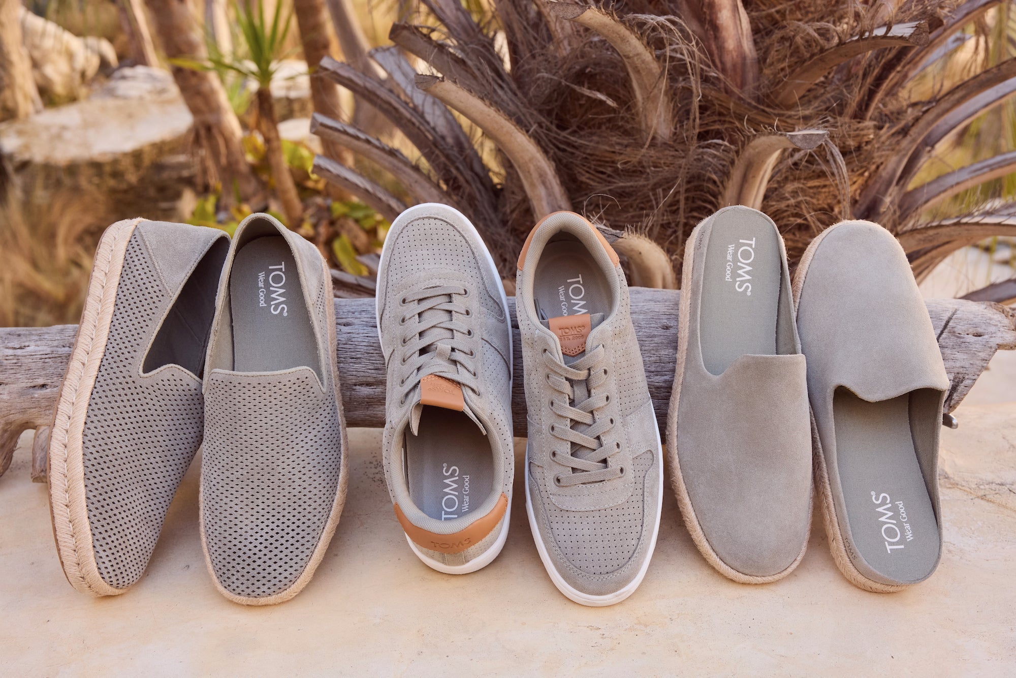 Toms shoes