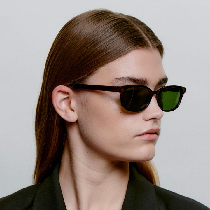 Charlie - Demi Tortoise