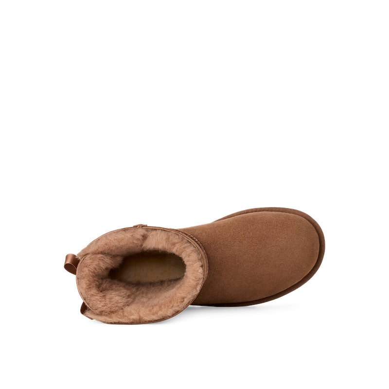 Mini Bailey bow 2 - rocky oak