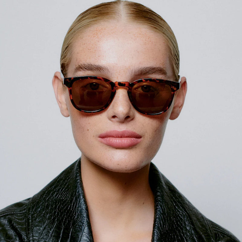 Bate - demi tortoise