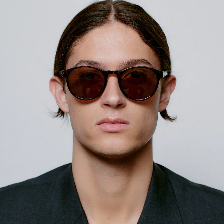 Marvin - demi tortoise