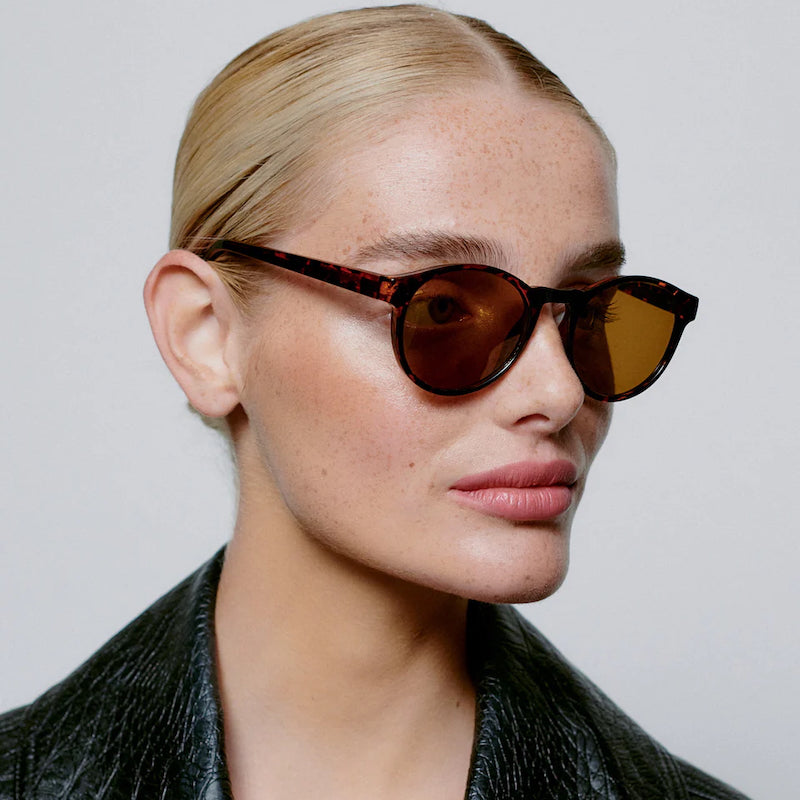 Marvin - demi tortoise